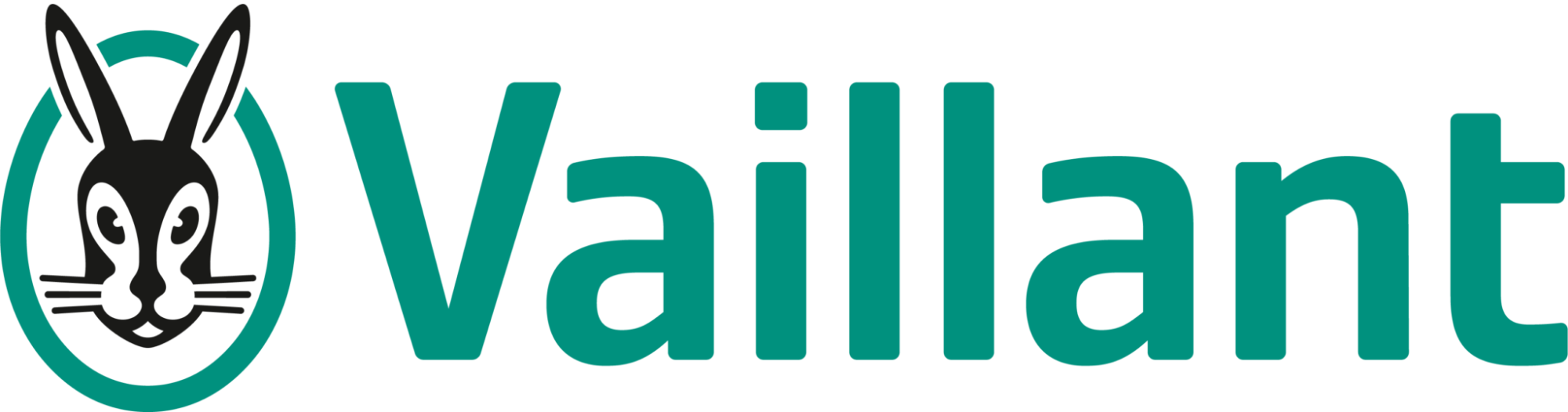Vaillant Vaillant